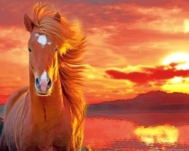 Blaze Horse Animals Painting By Numbers.png