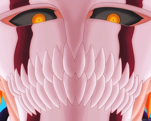 Bleach Anime Hero With Mask Painting By Numberss.png