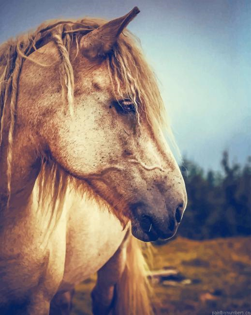 Blonde Horse Animals Painting By Numbers.png