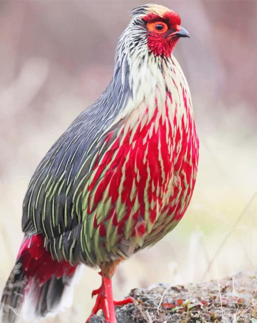 Blood Pheasant Birds Painting By Numbers.png
