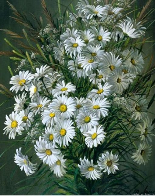 Blooming Daisy Flowers Painting By Numberss.png