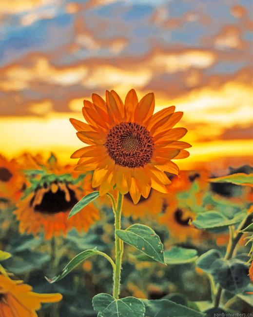Blossom Sunflower Painting By Numberss.png