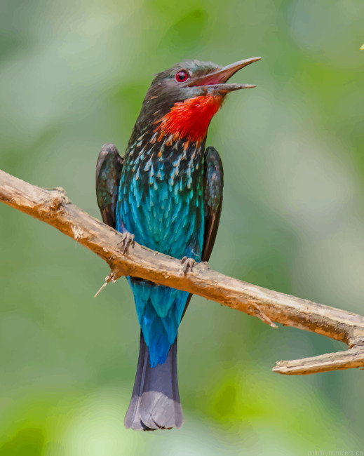 Blue And Red Finch Bird Painting By Numberss.png