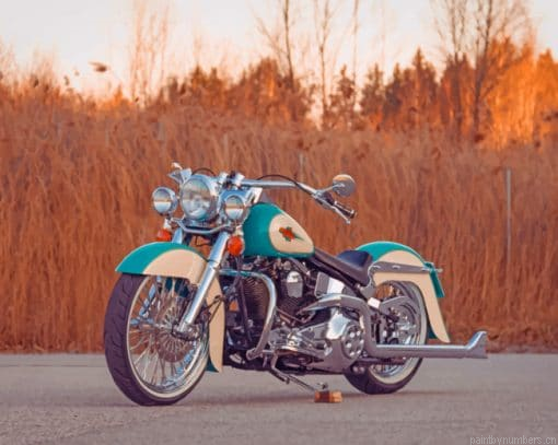 Blue And White Cruiser Harley Painting By Numberss.png