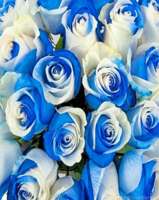 Blue And White Roses Painting By Numbers.png