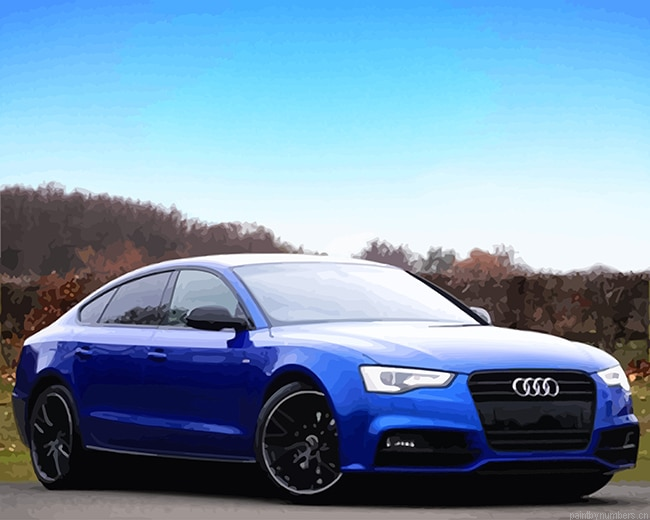 Blue Audi Car Painting By Numberss.png