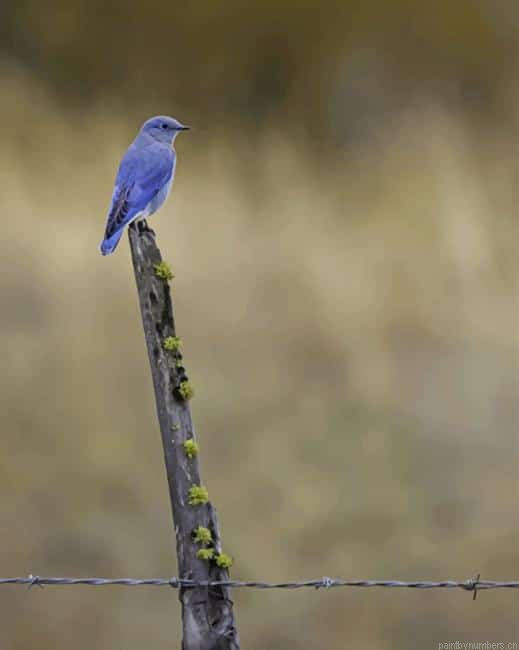 Blue Bird On Brown Stick Painting By Numberss.png