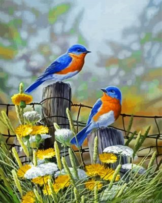 Blue Bird Painting By Numbers.png