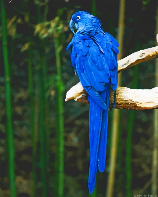 Blue Bird Perch On Tree Painting By Numberss.png
