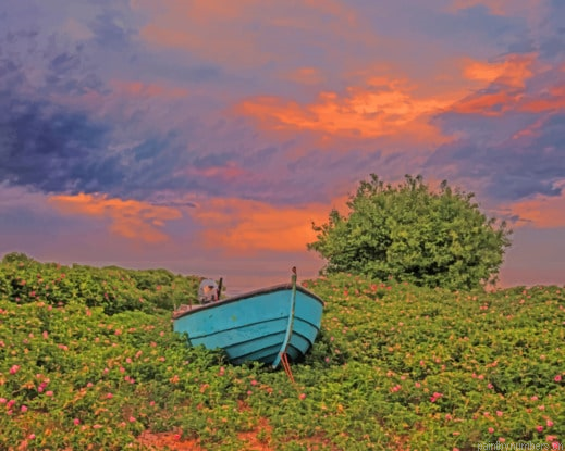Blue Boat On Sweden Sunrise Landscapes Painting By Numberss.png
