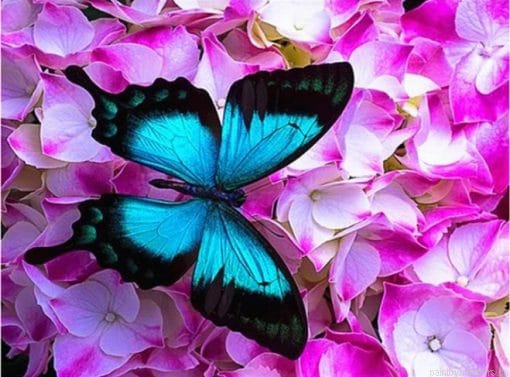 Blue Butterfly On Pink Flowers Insects Painting By Numberss.png