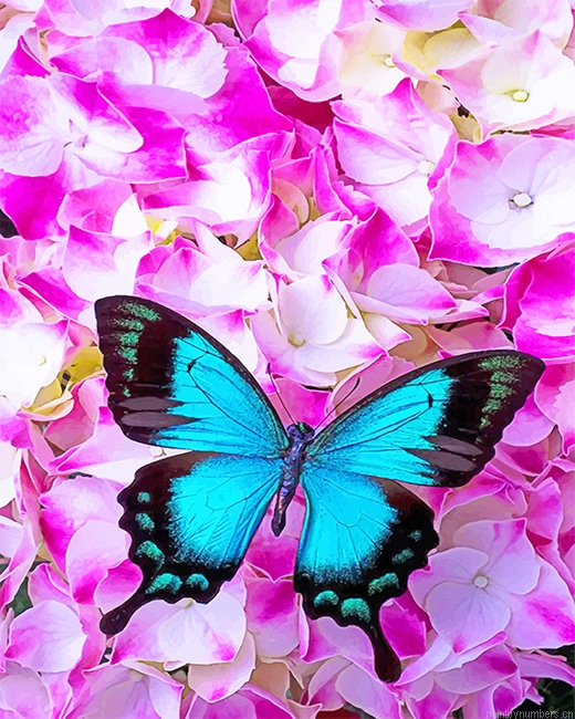 Blue Butterfly On Pink Flowers Painting By Numberss.png