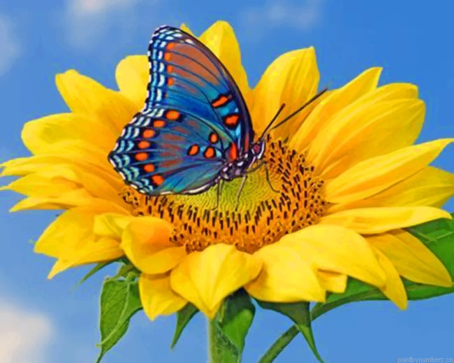 Blue Butterfly On Sunflower Painting By Numbers.png