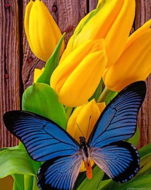 Blue Butterfly On Yellow Tulips Insects Painting By Numberss.png