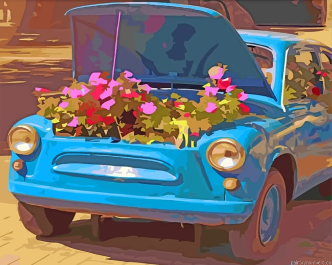 Blue Car And Flowers Painting By Numberss.png