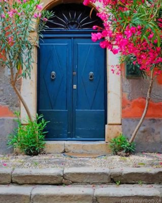 Blue Door And Pink Flowers Painting By Numbers.png