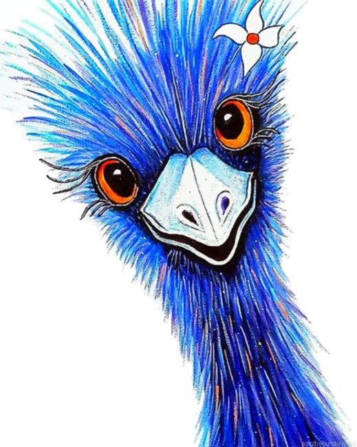 Blue Emu Bird Painting By Numbers.png