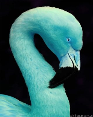 Blue Flamingo Bird Painting By Numbers.png