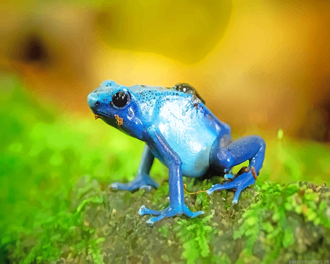 Blue Frog Amphibians Painting By Numberss.png
