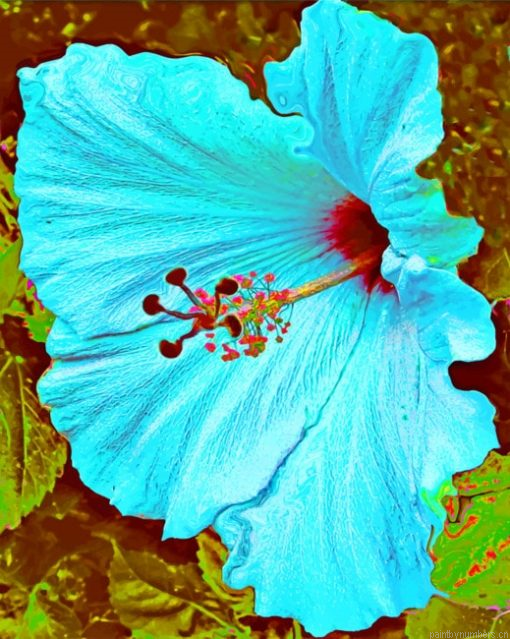 Blue Hibiscus Flower Painting By Numbers.png