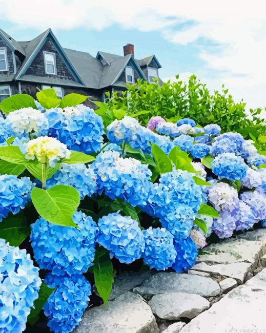 Blue Hydrangeas Painting By Numberss.png