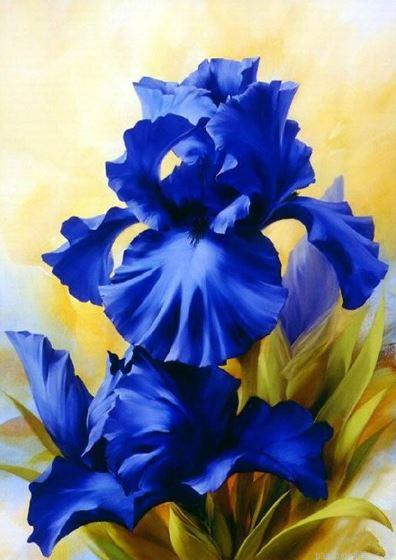 Blue Iris Painting By Numbers.png