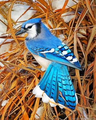 Blue Jay Painting By Numbers.png