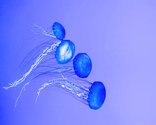 Blue Jellyfish Painting By Numberss.png