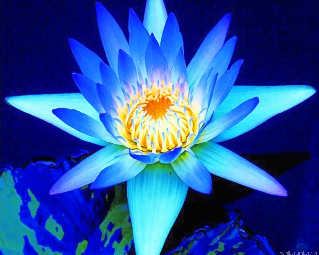 Blue Lotus Flowers Painting By Numbers.png