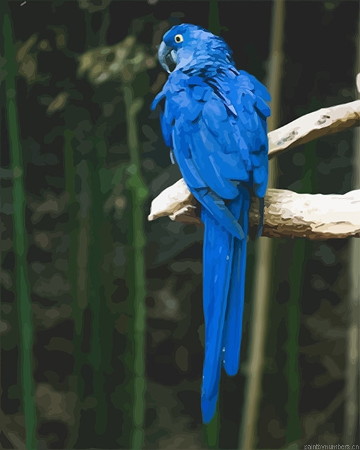 Blue Parrot Birds Painting By Numberss.png