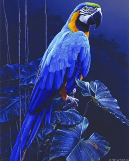 Blue Parrot Painting By Numbers.png