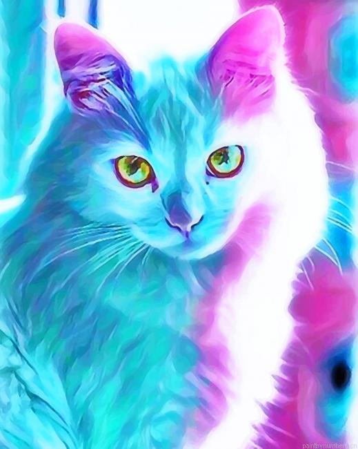 Blue Pink Cat Animals Painting By Numberss.png