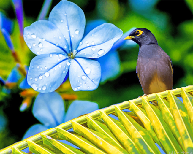 Blue Poppy And Bird Painting By Numbers.png