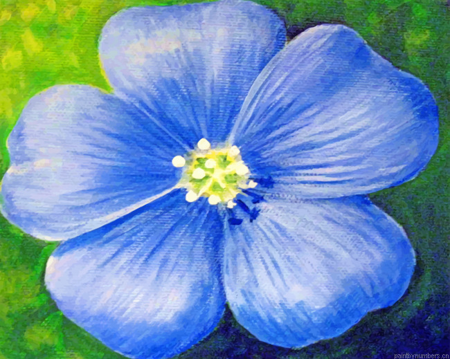 Blue Poppy Flower Painting By Numbers.png