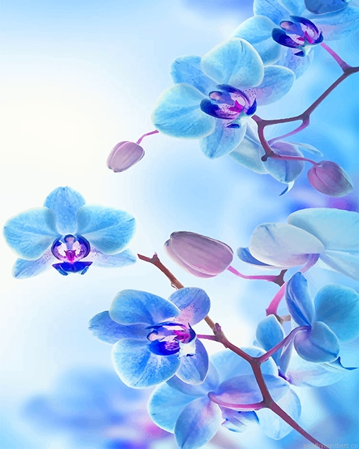 Blue Purple Orchid Plants Painting By Numberss.png