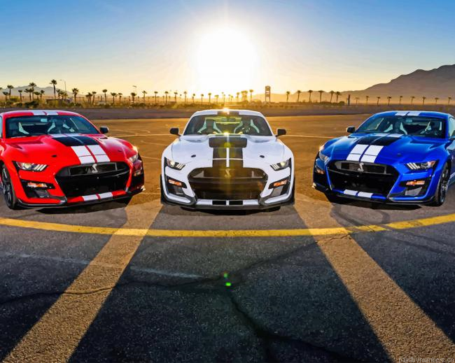 Blue Red And White Mustang Cars Painting By Numbers.png