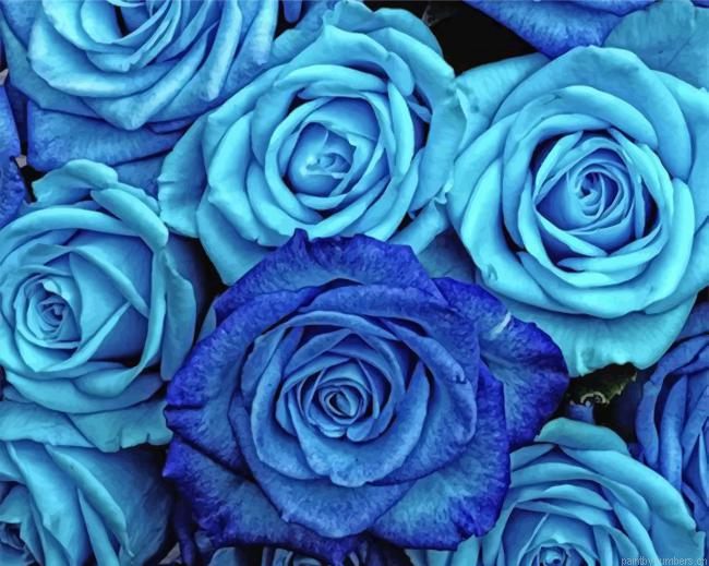 Blue Roses Painting By Numberss.png