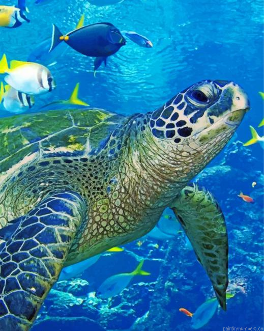 Blue Sea Turtle Painting By Numberss.png