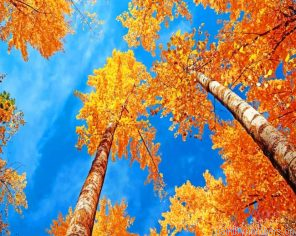 Blue Sky Autumn Painting By Numbers.png