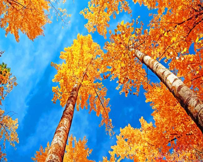 Blue Sky And Autumn Trees Painting By Numberss.png