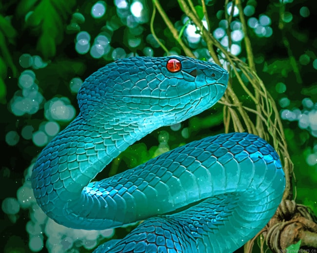 Blue Snake Viper Reptiles Painting By Numberss.png