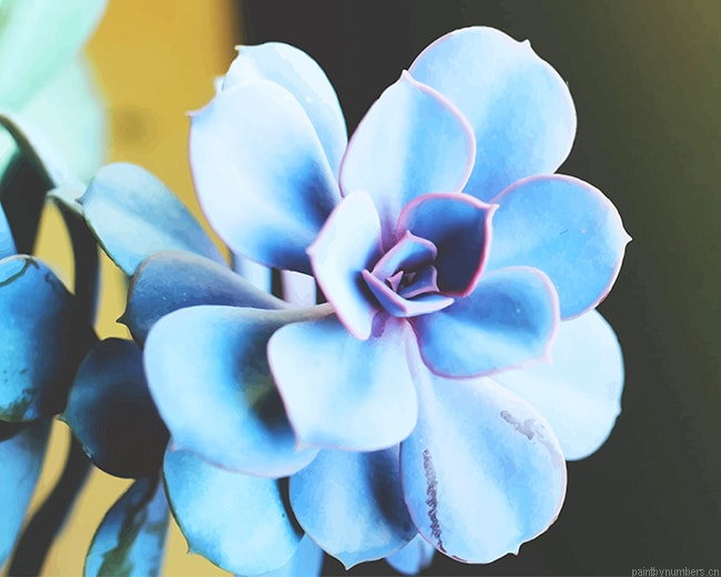 Blue Succulent Plants Painting By Numberss.png
