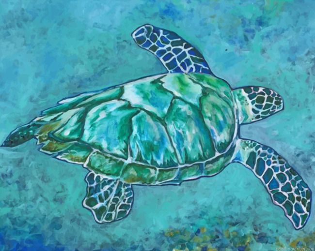 Blue Turtle Painting By Numberss.png
