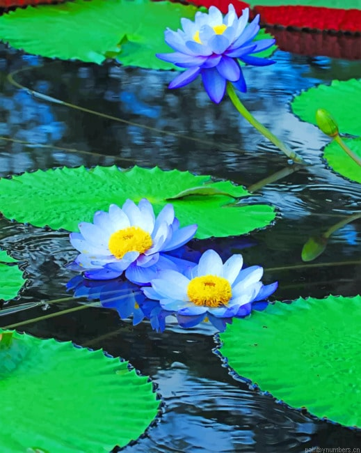 Blue Water Lilies Painting By Numberss.png