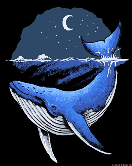 Blue Whale Illustration Painting By Numbers.png