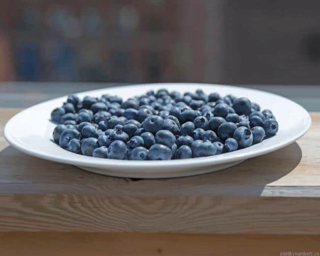 Blueberry Plate On Patio Fruits Painting By Numberss.png