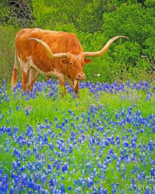 Bluebonnets And Longhorn Painting By Numbers.png