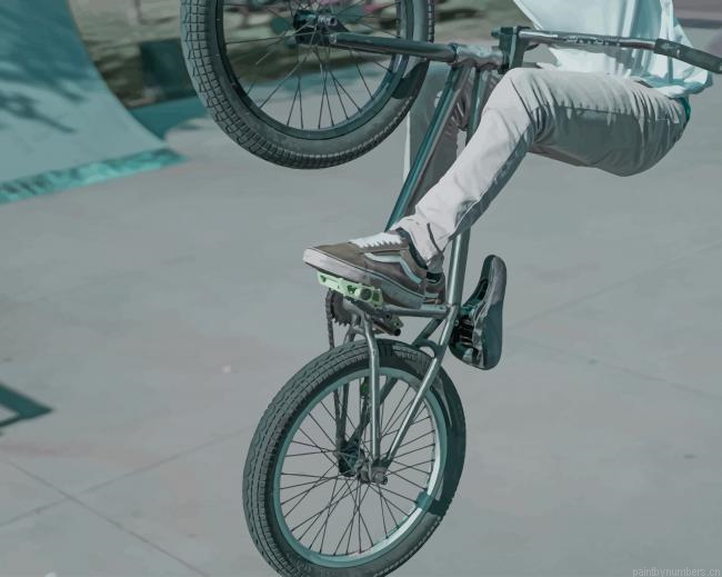 Bmx Bicycle Stand Move Painting By Numberss.png