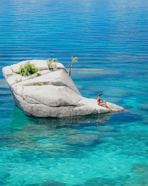 Bonsai Rock Lake Tahoe Painting By Numberss.png