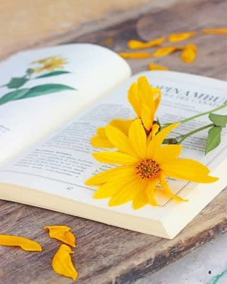 Book And Flower Painting By Numbers.png